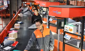 Alibaba bội thu trong những giờ đầu tiên của ngày Độc thân