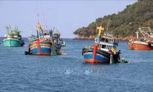 Phú Quốc: Đồng bộ nhiều giải pháp trong cao điểm phòng, chống IUU