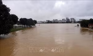 Học sinh Thừa Thiên - Huế nghỉ học để tránh lũ