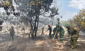 Thừa Thiên - Huế: Khẩn trương dập tắt vụ cháy rừng phòng hộ