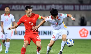 Vòng loại cuối FIFA World Cup 2022: Tập trung tổ chức tốt trận đấu Việt Nam - Trung Quốc