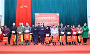 Trình Chủ tịch nước về việc tặng quà người có công dịp Tết Nguyên đán Giáp Thìn 2024