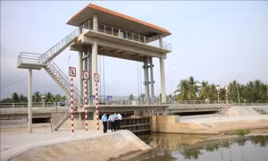 Phát huy hiệu quả giải pháp công trình trong ứng phó hạn mặn