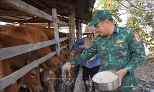 Ngày Biên phòng toàn dân: Nghĩa tình của người lính mang 'quân hàm xanh'