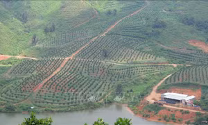 Kết nối đưa Tây Nguyên cất cánh