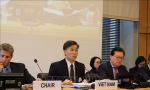 Việt Nam cam kết tiếp tục nỗ lực thúc đẩy, bảo vệ quyền dân sự và chính trị
