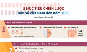 8 mục tiêu Chiến lược Dân số Việt Nam đến năm 2030