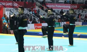 ASIAD 2018: Vì sao Pencak Silat Việt Nam chưa có HCV?