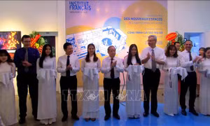 Nâng cấp trụ sở Viện Pháp tại Huế