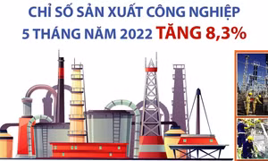 Chỉ số sản xuất công nghiệp 5 tháng năm 2022 tăng 8,3%