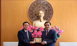 Đoàn đại biểu cấp cao tỉnh Savannakhet của Lào thăm, làm việc tại Quảng Nam
