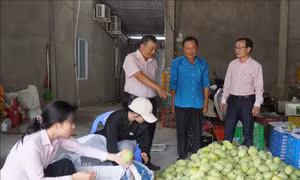 Trên 59.000 hộ thoát nghèo từ dòng vốn tín dụng chính sách