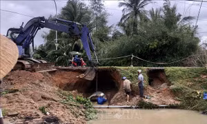 Khẩn trương khắc phục ảnh hưởng bão số 12 và ứng phó với bão VAMCO