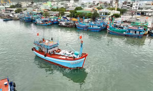 Khắc phục 'thẻ vàng' IUU từ nền tảng số quản lý tàu cá