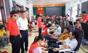 Hành trình đỏ tại Thanh Hóa: Tiếp nhận gần 2.000 đơn vị máu trong ngày đầu khai mạc