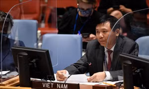 Việt Nam đề cao ưu tiên cho hỗ trợ nhân đạo cho người dân Syria