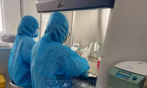 Những nghề nào mắc COVID-19 là bệnh nghề nghiệp được hưởng BHXH?