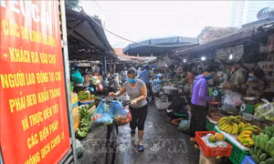 Hàng thiết yếu của Hà Nội dự trữ tăng 50%