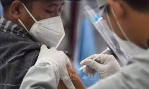 ADB duyệt khoản cho vay 450 triệu USD giúp Indonesia mua và cung cấp vaccine 