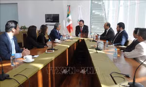Mexico coi trọng phát triển quan hệ mọi mặt với Việt Nam