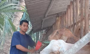 Hỗ trợ người nghèo tiếp cận nguồn vốn tín dụng chính sách xã hội