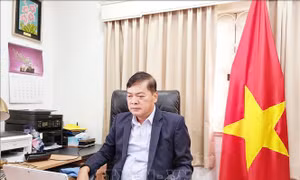 Chuyển đổi kinh tế và cơ hội cho các ngành nghề tại Việt Nam