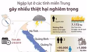 Ngập lụt ở các tỉnh miền Trung gây nhiều thiệt hại nghiêm trọng
