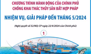 Chương trình hành động của Chính phủ chống khai thác thủy sản bất hợp pháp: Nhiệm vụ, giải pháp đến tháng 5/2024