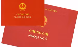 Đại học Huế rà soát việc sử dụng chứng chỉ ngoại ngữ trong xét tuyển chính quy