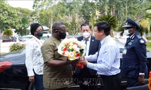 Tổng thống Cộng hòa Sierra Leone thăm Viện lúa Đồng bằng sông Cửu Long