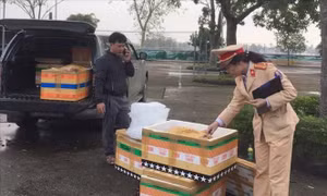 Bắt giữ 605 kg thịt động vật không bảo đảm an toàn thực phẩm
