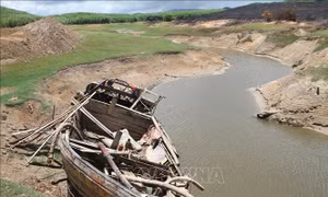 Đình chỉ công tác Chủ tịch UBND xã ở Hà Tĩnh