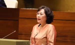 Đảm bảo nguồn ngoại tệ để doanh nghiệp nhập khẩu, phục vụ sản xuất trong nước