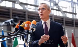 Hội đồng NATO - Ukraine họp khẩn 
