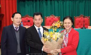 Bà Nguyễn Phương Nga được bầu làm Chủ tịch Liên hiệp các tổ chức hữu nghị Việt Nam