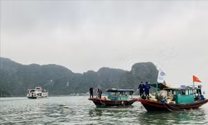 Việt Nam - EU chung tay vì môi trường sạch, ứng phó với biến đổi khí hậu