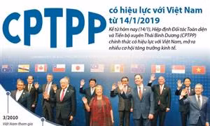 CPTPP có hiệu lực với Việt Nam từ 14/1/2019