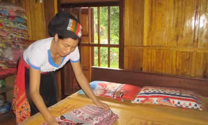 Đa dạng phong trào phụ nữ khởi nghiệp