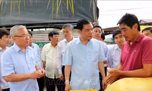 Nỗ lực ứng phó với hạn, mặn tại tỉnh Sóc Trăng 