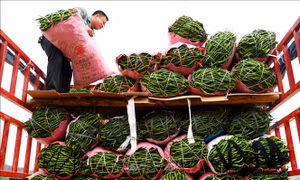 Ăn cay có thể làm tăng nguy cơ mất trí nhớ