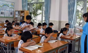 Trường học ứng phó với ô nhiễm không khí