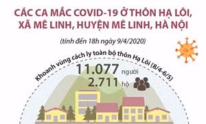 Thông tin về ổ dịch thôn Hạ Lôi ở Mê Linh, Hà Nội