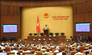 Quốc hội thông qua Luật Đầu tư theo phương thức đối tác công tư (PPP)