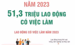 Năm 2023: 51,3 triệu lao động có việc làm
