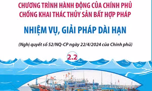 Chương trình hành động của Chính phủ chống khai thác thủy sản bất hợp pháp: Nhiệm vụ, giải pháp dài hạn (phần 2.2)