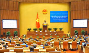 Đẩy mạnh đào tạo nghề cho thanh niên, gắn với chương trình phục hồi và phát triển KT-XH