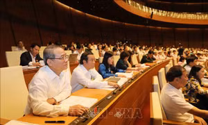 Quốc hội thông qua Luật Trồng trọt và Luật Chăn nuôi
