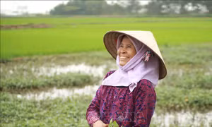 Cuộc sống bình yên ở tâm dịch Sơn Lôi (Vĩnh Phúc) trước ngày dỡ bỏ cách ly vì dịch COVID-19