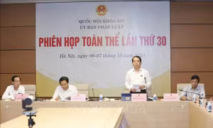Tổ chức chính quyền đô thị tại TP Hồ Chí Minh tinh gọn, hợp lý, hoạt động hiệu quả