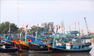 Khắc phục 'thẻ vàng' IUU: Giám sát chặt chẽ tàu cá thuộc diện nguy cơ cao